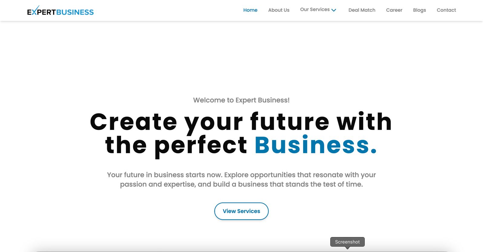 Expert Business Pvt Ltd Image