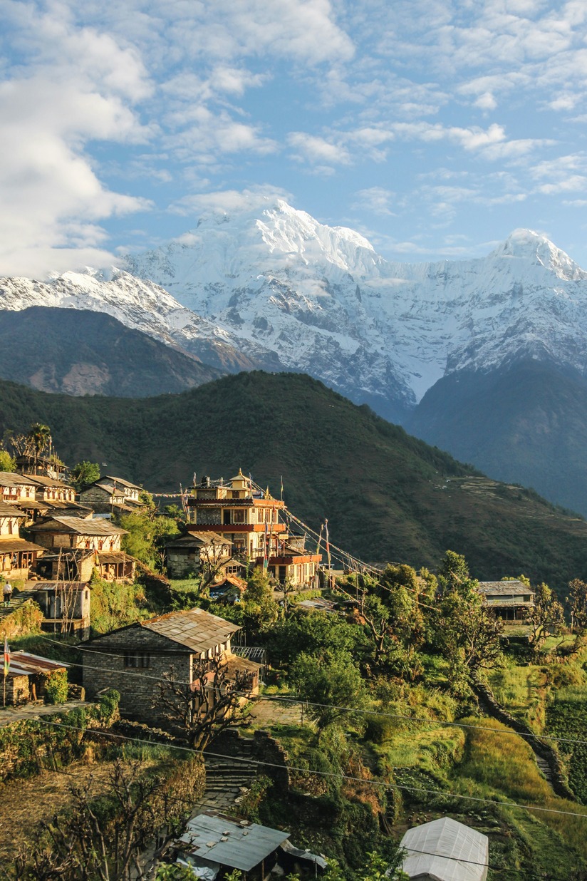 Synaja Image